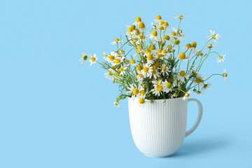 Cup with fresh chamomile flowers on color background