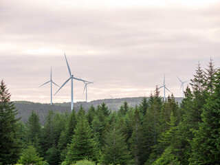 Wind turbine propeller over a dense green forest. Ecological source of electrical energy. Blending nature and modern technology concept.