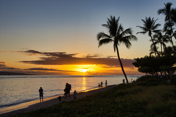 Fototapeta premium Palm tree and people in silhoutte at a maui beach at sunset.