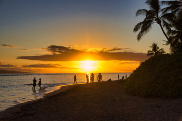 Beautiful maui sunset with palm trees and silhouetted people. 