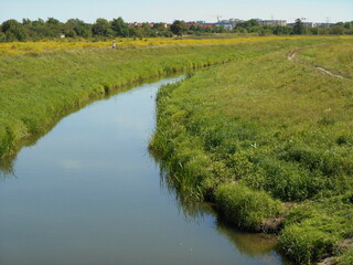 Arched riverbed. Sunny summer day. Herbaceous vegetation in the background and trees in the distance.