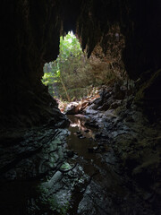 西表島の鍾乳洞