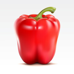 Red pepper on the  white background