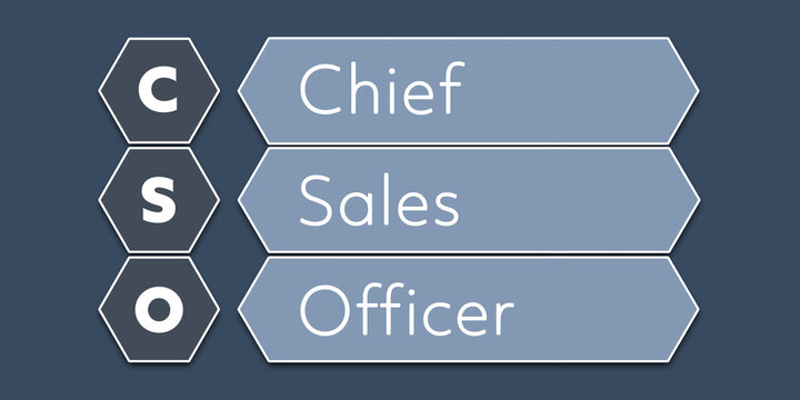 CSO Chief Sales Officer. An Acronym Abbreviation of a term from the software industry. Illustration isolated on blue background