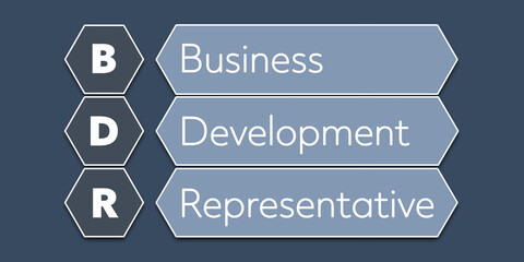 BDR Business Development Representative. An Acronym Abbreviation of a term from the software industry. Illustration isolated on blue background