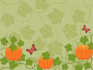 Floral background with a pumpkin. Vector illustration.