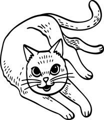 cute cartoon cat drawing.