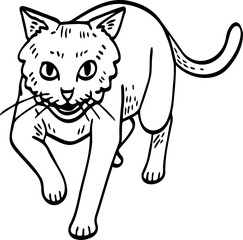 cute cartoon cat drawing.