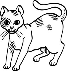 cute cartoon cat drawing.