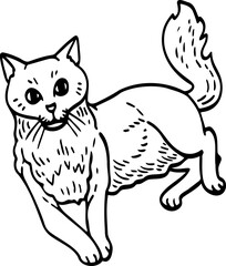 cute cartoon cat drawing.