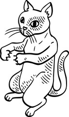 cute cartoon cat drawing.