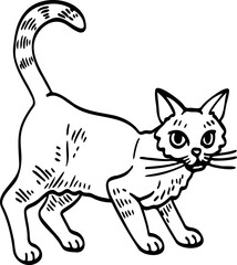 cute cartoon cat drawing.