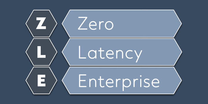 ZLE Zero Latency Enterprise. An Acronym Abbreviation of a term from the software industry. Illustration isolated on blue background