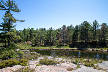 lake in the forest. Killarney Provincial Park, Ontario, Canada. landscape with lake,  trees and sky. Forest Landscape with Clear Blue Sky