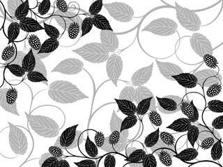 Floral background with a berries. Vector illustration.
