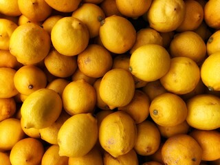 Healthy fruits. Fresh lemon. Lemon for making juice.