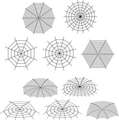 Fototapeta premium halloween cobweb background. halloween cobweb wallpaper. cobweb background. 