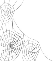 halloween cobweb background. halloween cobweb wallpaper. cobweb background.
