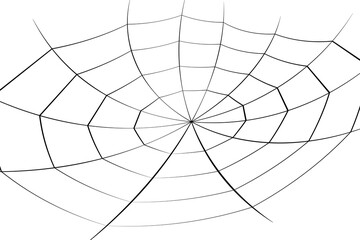 halloween cobweb background. halloween cobweb wallpaper. cobweb background.
