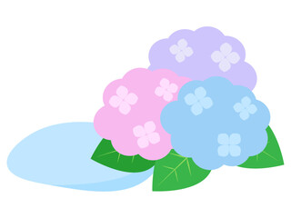 雨が降った後の水たまりと紫陽花のイラスト
