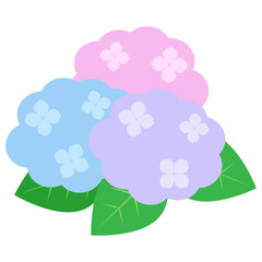 3色の紫陽花のイラスト
