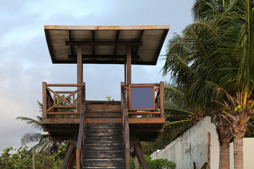 Wooden lifeguard tower near palm trees on sunny day