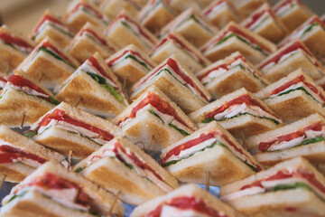 Catering table, beautifully decorated banquet with variety of with different food snacks appetizers on corporate birthday party event or wedding celebration, canape, salad, delicatessen setting