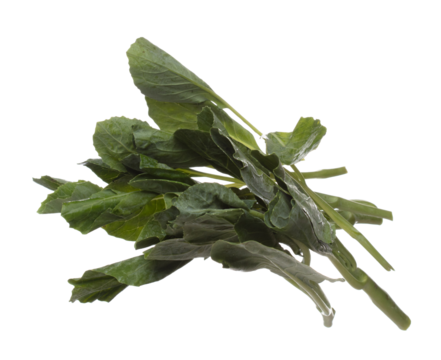 Kale fly in mid air, green fresh vegetable chinese kale falling. Organic fresh vegetable with eaten leaf of chinese kale, heap close up texture. White background isolated freeze motion high speed