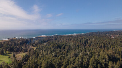 Fototapeta na wymiar Aerial sea view above redwood forest in Northern California