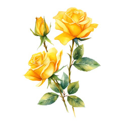 Floral Abstraction Delicate Roses and Leaves in Vibrant Botanical Illustration