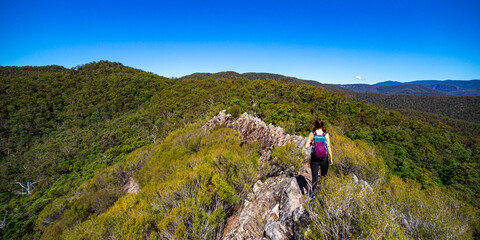 A beautiful girl celebrates a successful climb of the Pages Pinnacle and enjoys the view while standing on the narrow Razorback ridge. Hidden gems in Springbrook National Park, Gold Coast, Queensland 