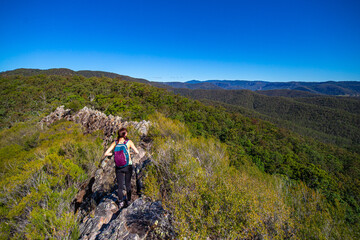 Fototapeta premium Bautiful adventurer girl climbs the narrow rock walls of the razorback ridge on Pages Pinnacle. Hidden gems in Springbrook National Park, Gold Coast, Queensland, Australia