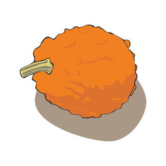 fully editable vector illustration of one pumpkin