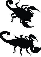 scorpions silhouette collection - vector