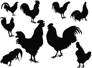 roosters collection silhouettes - vector