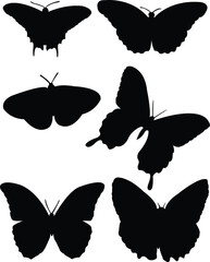 collection of butterfly silhouette - vector