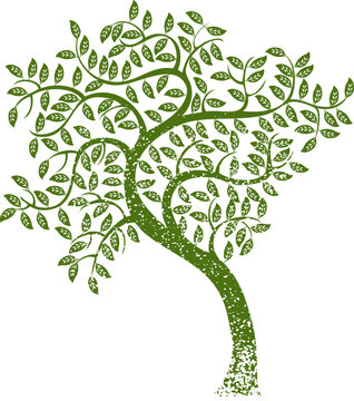 An image of a green tree - grunge style.