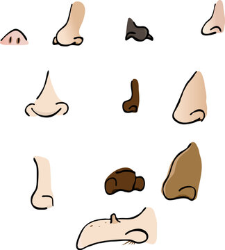 A set of 11 various human nose body parts drawings.