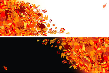 Autumn leaves banners for your design