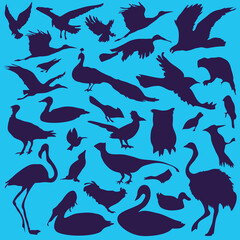 vector set of various birds
