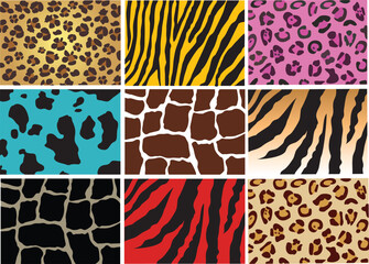 vector illustration of animal skin texture wild and domestic