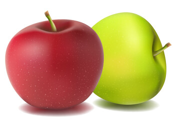 illustration of natural apples on white background