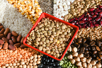 Fototapeta premium Bowl with raw white lentils on various seeds grain