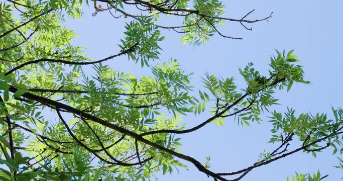 Vindkraft Bilder Durchsuchen 55 Archivfotos, und