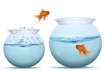 illustration of jumping fish in tank on white background