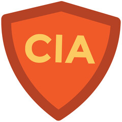 An icon of shield is showing the concept of protection 