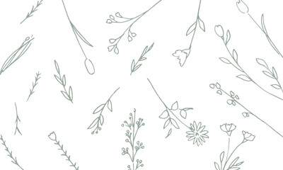 線画。手書きのベクター草木イラスト。夏の草木デコレーションフレーム。Line drawing. Hand drawn vector grass and trees illustration. Summer grass and trees decoration frame.