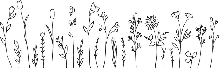 線画。手書きのベクター草木イラスト。夏の草木デコレーションフレーム。Line drawing. Hand drawn vector grass and trees illustration. Summer grass and trees decoration frame.