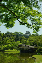 初夏の彦根城 玄宮園  (2022年4月）