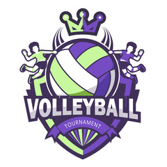 Modern Volleyball symbol.It's for champion concept